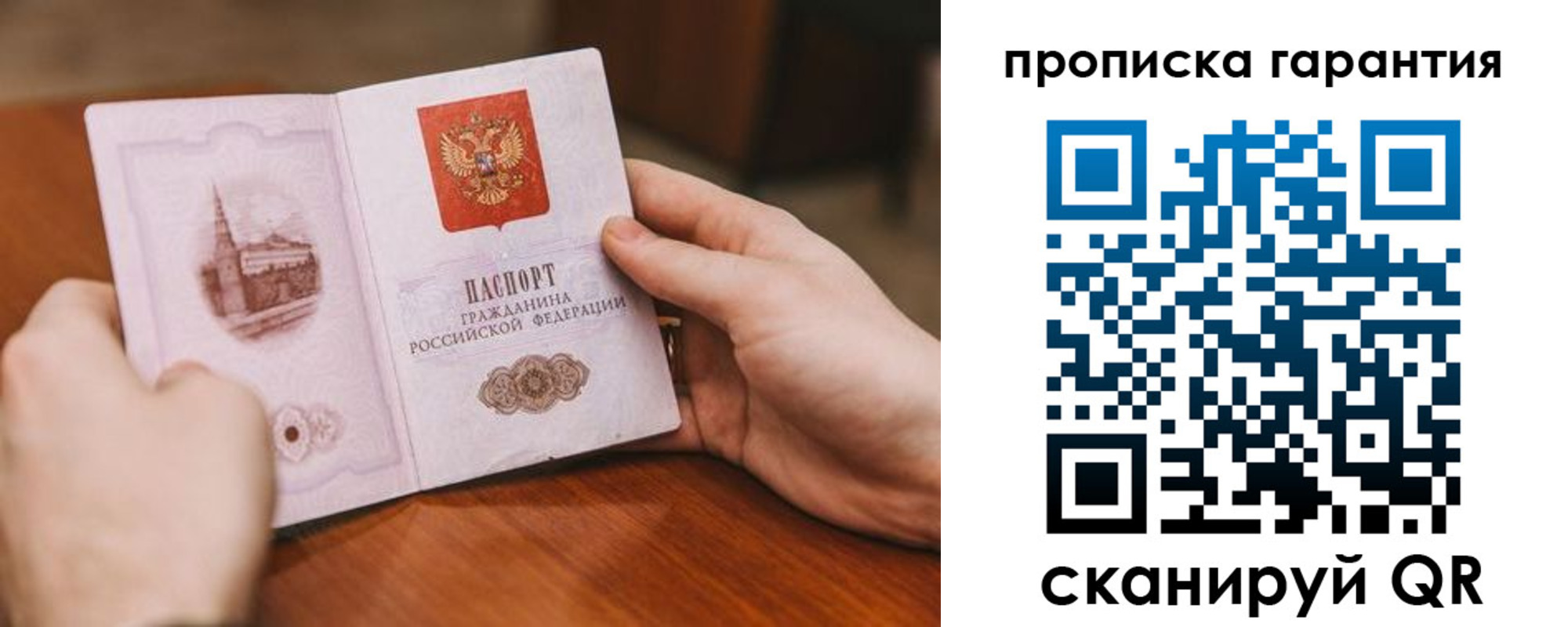 прописка поиск в Мурино
